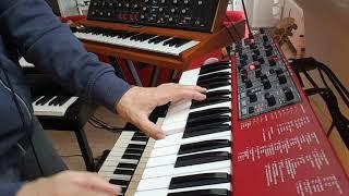 Nord Lead A1 vs Moog Voyager - a quick Lead Sound comparison