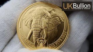 2022 1oz Big 5 Elephant Gold Coin I Buy Now