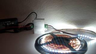 Tunable Dynamic White LED Strip Lights  |  Flexfire LEDs