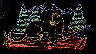 Denver Zoo Lights 2017