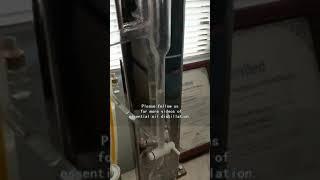 lavender essential oil extraction machine Gengond