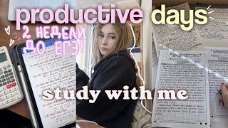 мои ПРОДУКТИВНЫЕ будни & подготовка к ЕГЭ ｡ ﾟ˖  study with me