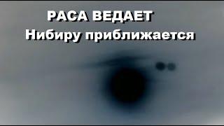 РАСА ВЕДАЕТ - Нибиру приближается