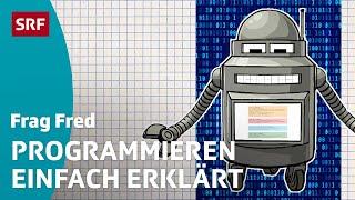 Frag Fred: Was ist eine Programmiersprache? | Kindervideos | SRF Kids