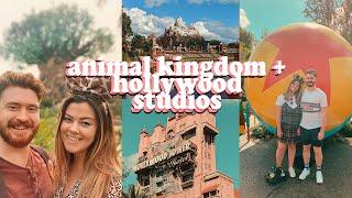 WALT DISNEY WORLD VLOGS! ANIMAL KINGDOM AND HOLLYWOOD STUDIOS - DAY 3 + 4 | LUCY WOOD [AD GIFTED]