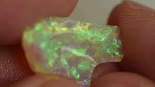 Shell Fossil Opal | Fossil Opal Raw Material from Coober Pedy | 貝殼化石蛋白石 | 化石オパール石