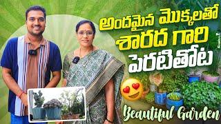 Sharada's Beautiful Garden అందమైన మొక్కలు, చెఱకు చూస్తే షాక్ అవ్వాల్సిందే