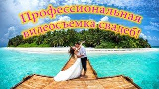 Свадебное видео. Свадебный клип. Видеограф. Видеосъемка. Видеосъемка в Днепропетровске