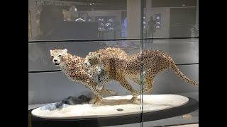 Exquisite Home Decor in Swarovski Crystal Worlds , Wattens, Tyrol, Austria