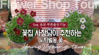 ENG) Korean flower shop tour! 