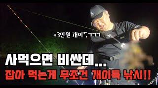 이 녀석은 사먹으면 손해라네요 묵직하고 끈적끈적한 낚시