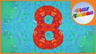 The 8 Song Samba | Counting by 8 to 96 | Tiny Tunes