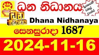 Dhana Nidhanaya Today 1687 Result 2024.11.16 අද ධන නිධානය ලොතරැයි ප්‍රතිඵල Dana Lotherai dinum