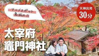 【紅葉狩り】大宰府 竈門神社2022｜ 日本旅遊vlog｜生活日常｜自由行景點美食推薦