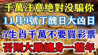 千萬註意絕對沒騙你！11月9號丁醜日大兇日，5生肖千萬不要買彩票！否則大難纏身一整年！#運勢 #風水 #佛教 #生肖 #发财 #横财 【佛之緣】