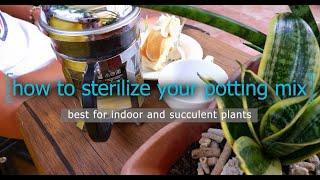 HOW TO STERILIZE YOUR POTTING MIX | CARBONATED RICE HULL & COCO PEAT POTTING MIX FOR INDOOR PLANTS