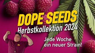 DOPE SEEDS - Die Herbstkollektion 2024 