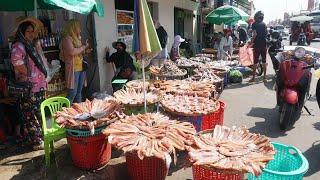 The Big Site Distribute Fish @Kilo 9 - Morning Daily LifeStyle of Vendors Selling Fish, Dry Fish