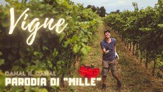 VIGNE - PARODIA DI MILLE