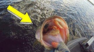 YouTuber vs PRO | FISHING Challenge PUNCHING for Bass!!!