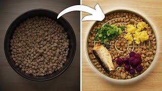 How to Improve Your Dog's Food On a BUDGET