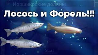 Куча новой РЫБЫ!!! | Ultimate Fishing Simulator | Йоркширские долины