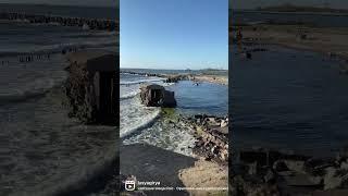 Baltic Sea  #shorts #tiktok #beautiful #youtube #like