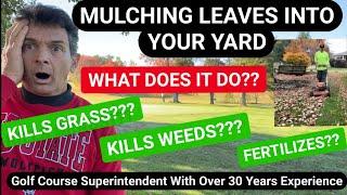 Mulching leaves kill your grass?? What happens??