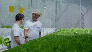 Katanim Goes Back to 3RJ Lettuce Farm