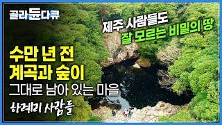 제주도에 있는데 제주 사람들도 잘 모르는 비밀의 장소 수만 년 전 화산 폭발로 생긴 계곡과 숲을 그대로 간직한 신비의 마을 '하례리' | 여행책에 없는 제주 | #골라듄다큐