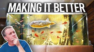 800 Gallon Puffer Tank Problems - Fish Room Update Ep. 110