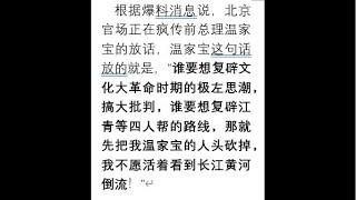 溫家寶寧願被砍頭，也不讓習近平返回文革？川普太焦慮：不入宮就入𤠒？烏克蘭冒死深入俄羅斯｜點點今天事（20240816）