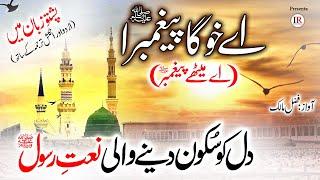 New NAAT in Pashto | Aye Khoga Paighambara (Aye Methay Paighambar) ﷺ| Fazal Malik | Islamic Releases