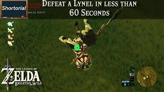 Kill a Lynel in less than 60 Seconds | Zelda BOTW Shortorial