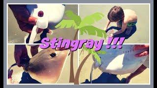 Touched the stingray in the ocean! Kids Adventures with Sweetie Fella Aleks & SINGRAY TOUCH