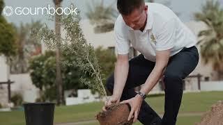 Goumbook x Desert Control | Tree Planting | Dubai, UAE | 2022 07 07