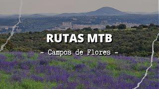 RUTAS MTB (en 60 segundos): alrededores de Toledo / Campo de Flores - #SHORTS