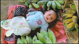 Banana Harvest and the Life of a Mother and Son