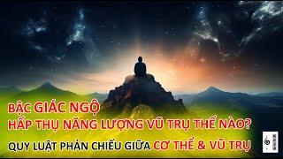 Các bậc giác ngộ đã hấp thụ năng lượng của vũ trụ thế nào? - Vạn vật giác ngộ