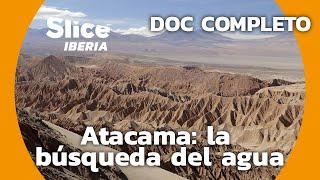 Atacama: salvando los oasis del desierto más arido | SLICE Iberia | DOCUMENTAL COMPLETO