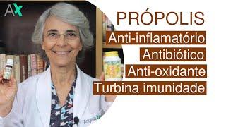 PRÓPOLIS - Anti-Inflamatório, antibiótico e turbina nossa imunidade...