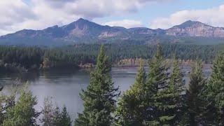 Two human skulls discovered in Gifford Pinchot National Forest within a month