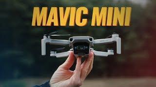 Обзор DJI MAVIC MINI. Кадры с дрона. Квадрокоптер 249 грамм