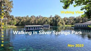 WALKING Silver Park - Florida - Relaxing Music 4K 60FPS