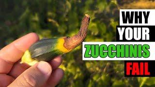 5 Reasons Zucchinis Fail - Garden Quickie Episode 92