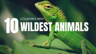 Top 10 Countries with the Most Dangerous and Wildest Animals | Vacation Ventures