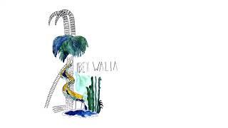 Ibex Walia - Jean Azma