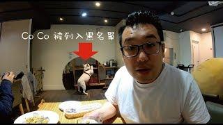 台北寵物友善餐廳，帶毛小孩一起吃飯！【 Paw Dreamer 麥克 2 】