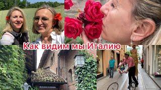 Эксклюзивный ресторан /маковый рай /элегантный город@ludmila Sandro