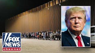 Trump's mass deportation plan debated by lawmakers